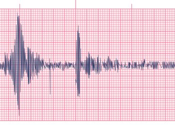 Un nou cutremur în Vrancea!