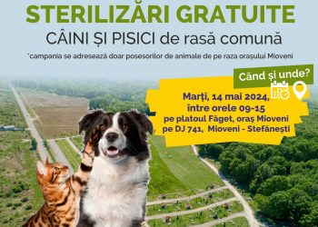 Mioveni: Ultimele locuri disponibile la campania de sterilizare gratuită!