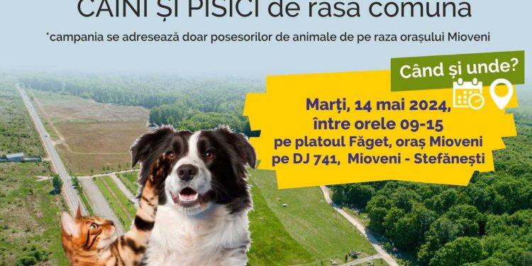 Mioveni: Ultimele locuri disponibile la campania de sterilizare gratuită!