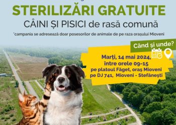 A treia campanie de sterilizări gratuite, la Mioveni!
