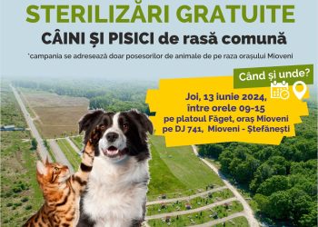 S.Ed.C Mioveni organizează încă o campanie de sterilizare