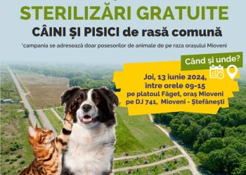 Încă o campanie de sterilizări gratuite pentru proprietarii de câini și pisici din Mioveni
