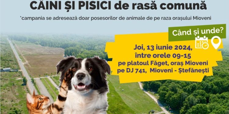 Încă o campanie de sterilizări gratuite pentru proprietarii de câini și pisici din Mioveni