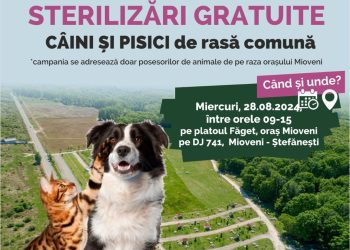 Mioveni: Campanie de sterilizări gratuite pentru proprietarii de câini și pisici