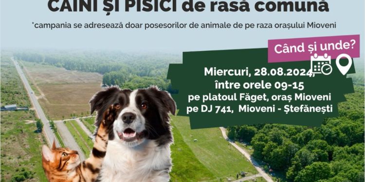 Mioveni: Campanie de sterilizări gratuite pentru proprietarii de câini și pisici