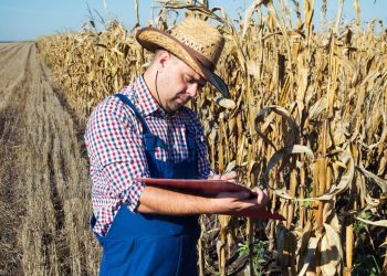 APIA: Tinerii fermieri trebuie să depună documentele privind competenţele în domeniul agricol/agronomic până la sfârşitul lunii