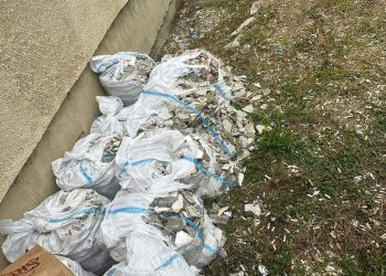 Mioveni: Saci cu moloz și mucuri de țigară împrăștiate pe tot spațiul verde