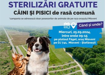 Mioveni: Încă o campanie de sterilizări gratuite pentru proprietarii de câini și pisici din oraș