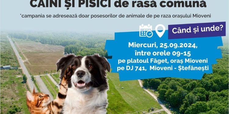 Mioveni: Încă o campanie de sterilizări gratuite pentru proprietarii de câini și pisici din oraș
