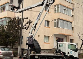 Mioveni: Anunț important privind toaletarea arborilor