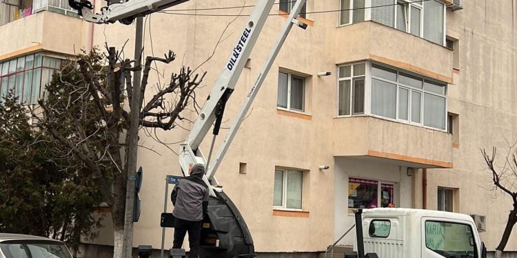Mioveni: Anunț important privind toaletarea arborilor