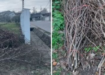 Mioveni: Mesaj important pentru cetățeni