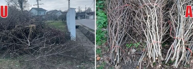 Mioveni: Mesaj important pentru cetățeni