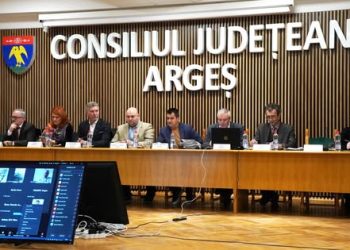 Ședință la Consiliul Județean Argeș