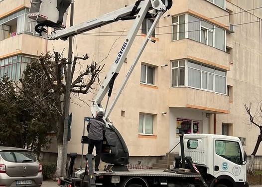 Precizări privind lucrările de toaletare și corecție a arborilor în orașul Mioveni