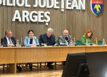 Recunoaștere oficială: Argeșul, pe primul loc în Regiunea Sud Muntenia la atragerea de fonduri europene!