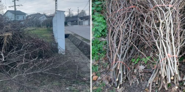 Mioveni: Resturile vegetale nu se aruncă și nu se lasă pe domeniul public