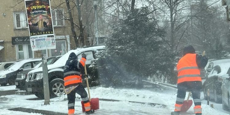 Deszăpezire în orașul Mioveni
