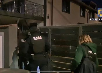 Cinci grupări de criminalitate organizată, destructurate în Argeș