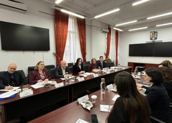 Obiectiv comun MMFTSS – Camera de Comerț Americană în România: Soluții pentru o piață a muncii echitabilă și competitivă