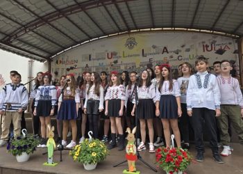 Spectacol caritabil la Mioveni