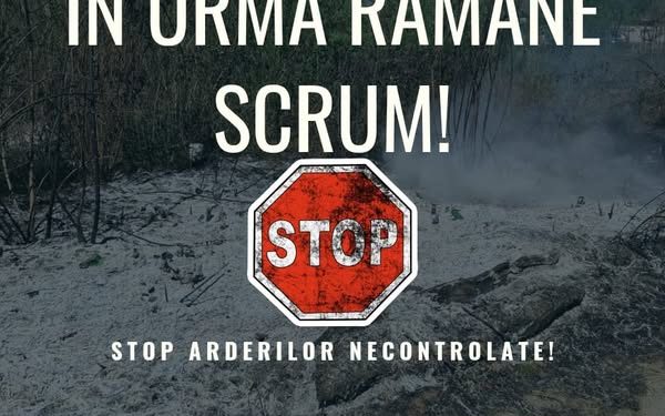 Mioveni: Atenție! Arderea necontrolată a miriștilor și a altor deșeuri vegetale este interzisă și se sancționează!