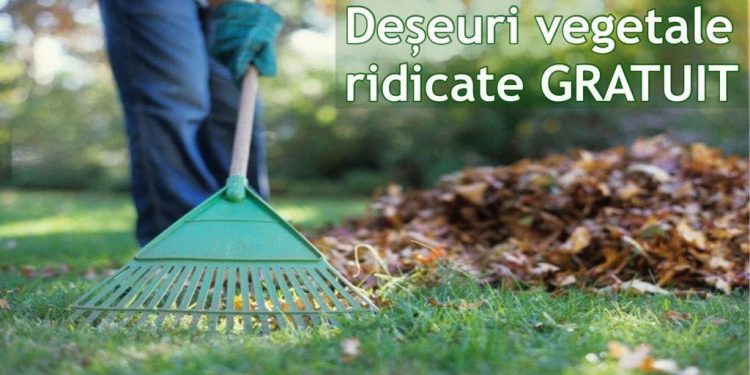 Ridicarea deșeurilor vegetale rezultate în urma curățeniei de primăvară: gratuită, cu respectarea regulilor!
