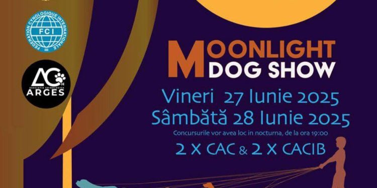 Moonlight Dog Show revine la Bradu! Primarul Dan Stroe invită brădenii la un spectacol canin unic, desfășurat în nocturnă