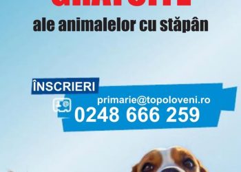 Sterilizări GRATUITE ale animalelor cu stăpân din ORAȘUL TOPOLOVENI