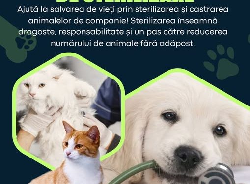 Brădenii, invitați să participe la campania de sterilizare