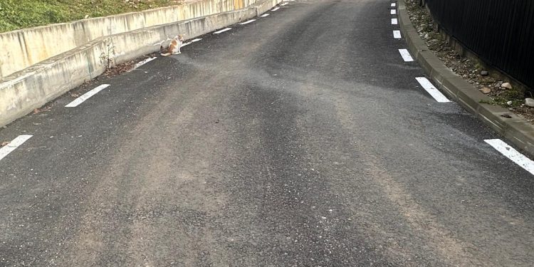 Primăria Municipiului Pitești anunță recepționarea unui nou tronson de drum modernizat