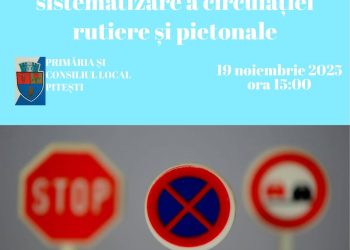 Ședința Comisiei de sistematizare a circulației rutiere și pietonale în municipiul Pitești