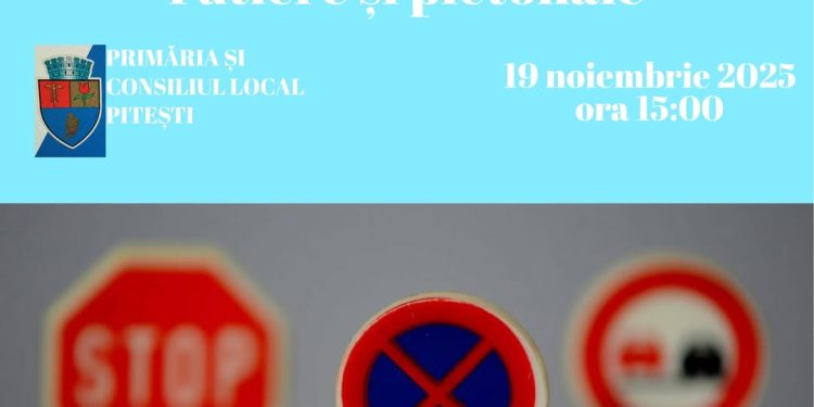 Ședința Comisiei de sistematizare a circulației rutiere și pietonale în municipiul Pitești