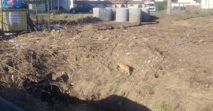 Proiect în Pitești: Regularizare vale – zona Tancodrom, cuprinsă între strada Tudor Arghezi și Aleea Stadionului