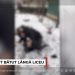 Adolescent bătut lângă un liceu din Costești