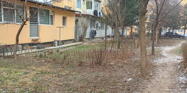 Acțiuni de control desfășurate de Poliția Locală Pitești