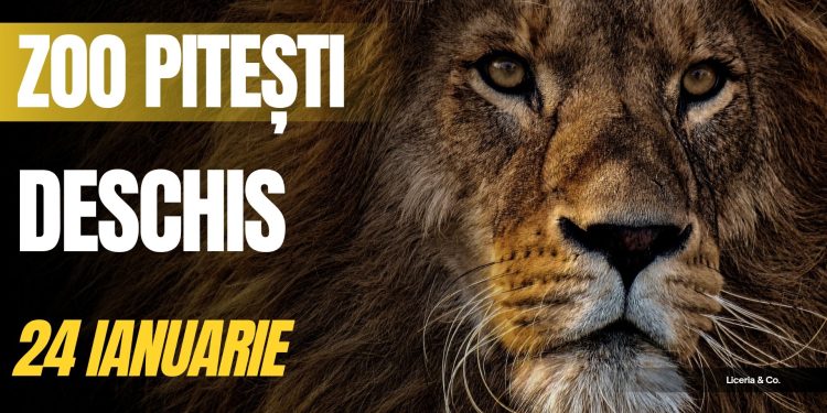Grădina Zoologică Pitești, deschisă sâmbătă, 24 ianuarie