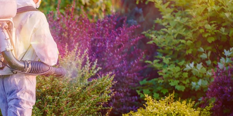 Tratamente fitosanitare, în Pitești!