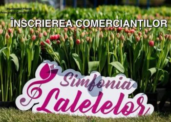 Pitești: Simfonia Lalelelor 2026: înscrieri deschise pentru agenții economici!