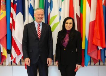 Simona Bucura-Oprescu: Aderarea la OCDE crește credibilitatea României și reduce costurile de finanțare