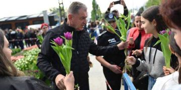 Edilul Cristian Gentea va împărți bulbi de lalea în Lunca Argeșului