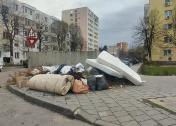 Pitești: controale intensificate și sancțiuni pentru încălcarea normelor de mediu și construcții