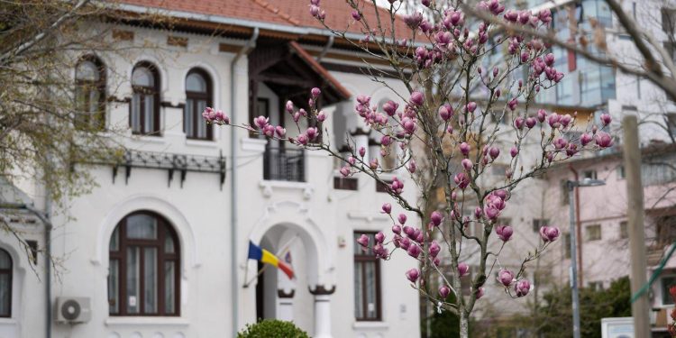 Anunț important al Direcției pentru Evidența Persoanelor a Municipiului Pitești