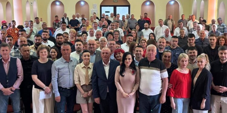 Nicolae Velcea, reales președinte al PSD Ștefănești. Organizația își consolidează echipa pentru continuarea dezvoltării orașului
