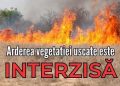 Arderea vegetației uscate – interzisă prin lege!