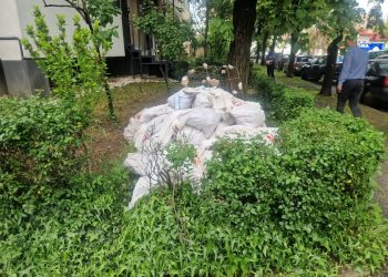 Acțiuni ale Poliției Locale Pitești pentru protejarea mediului: sancțiuni pentru depozitarea ilegală a deșeurilor din construcții