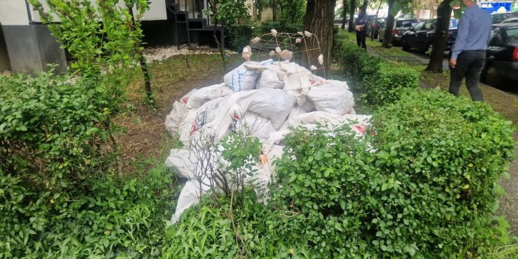 Acțiuni ale Poliției Locale Pitești pentru protejarea mediului: sancțiuni pentru depozitarea ilegală a deșeurilor din construcții