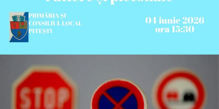 Ședința Comisiei de sistematizare a circulației rutiere și pietonale în municipiul Pitești