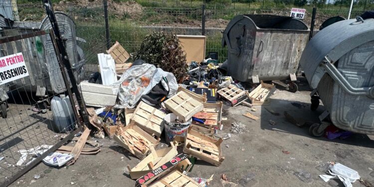 Amendă pentru depozitarea de deșeuri în loc neamenajat