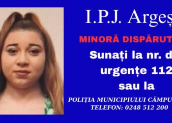 Minoră de 14 ani plecată voluntar din comuna Mihăești